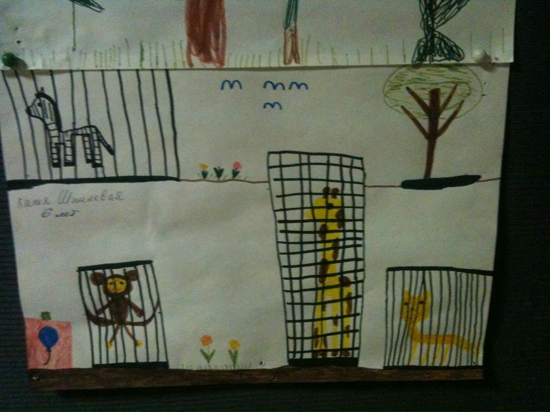 Unknown Unknown фотография #6