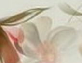 Маша Петрова фотография #19 (источник - https://vk.com/id405203)