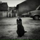 Фотография Кренева Никиты