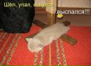 Іра Пелех фотография #41 (источник - https://vk.com/id133772672)