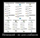 Инна Арнст фотография #28 (источник - https://vk.com/id1382175)