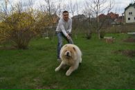 Юрій Масечко фотография #49 (источник - https://vk.com/id88838309)