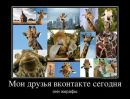 Фотография Будуева Николая