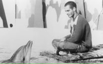 Фотография Shvalev Kirill