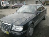 Фотография Махотина Тимура