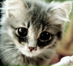 Фотография Кудинова Алексея