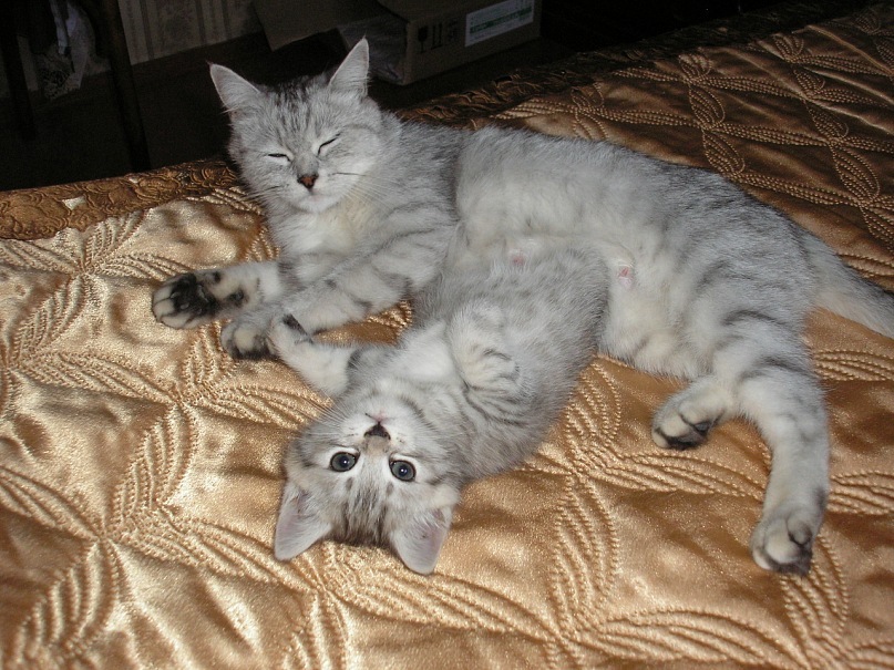 Игорь Баляев фотография #13