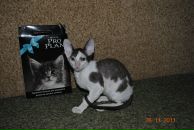 Фотография  