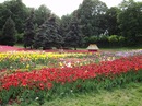 Оксана Карякіна фотография #25 (источник - https://vk.com/id137116637)
