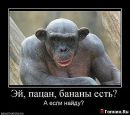 Сергій Шеремет фотография #29 (источник - https://vk.com/id7236265)
