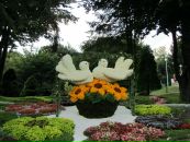 Вікторія Кучер фотография #40 (источник - https://vk.com/id3965617)