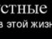 Даніель Стерваницький фотография #20 (источник - https://vk.com/id100572312)