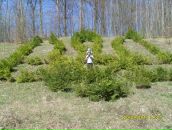 Арсен Олеськів фотография #5 (источник - https://vk.com/id23835538)