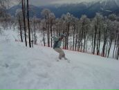 Фотография Lemekh Alla