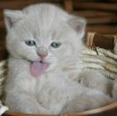 Соломія Мельник фотография #3 (источник - https://vk.com/id165616831)