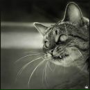 Dex†er Morgan фотография #10 (источник - https://vk.com/id68776099)