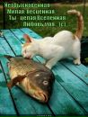 Вячеслав Глинин фотография #20 (источник - https://vk.com/id167862473)