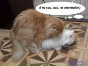 Кася Стаднік фотография #33 (источник - https://vk.com/id145566260)