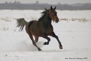 Ноемі Адам фотография #30 (источник - https://vk.com/id216896957)