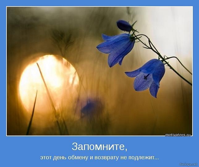 Антон Алев фотография #39