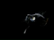 Фотография Сухановой Светланы