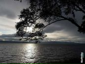 Оля Ткаченко фотография #22 (источник - https://vk.com/id1748957)