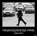 Сірожа Петрушкевич фотография #8 (источник - https://vk.com/id155944565)