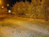 Максим Иванов фотография #46 (источник - https://vk.com/id2225354)