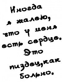 №19, Николета Беливак, Москва №19, Николета Беливак, Москва