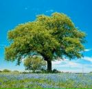 Фотография Башкирова Сергея