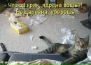 Фотография Лукиной Анастасии