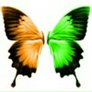 Фотография Сальникова Александра