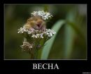 Фотография Дестини Елены