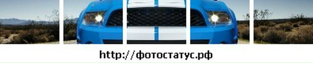 Іван Шевчук фотография #46 (источник - https://vk.com/id136239563)