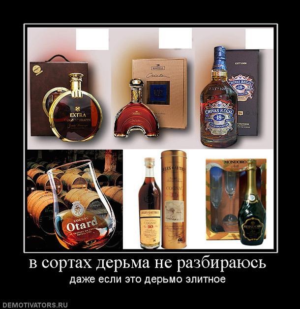 Evil Darkness фотография #35