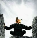 Игорь Матарыкин фотография #7 (источник - https://vk.com/id422203)