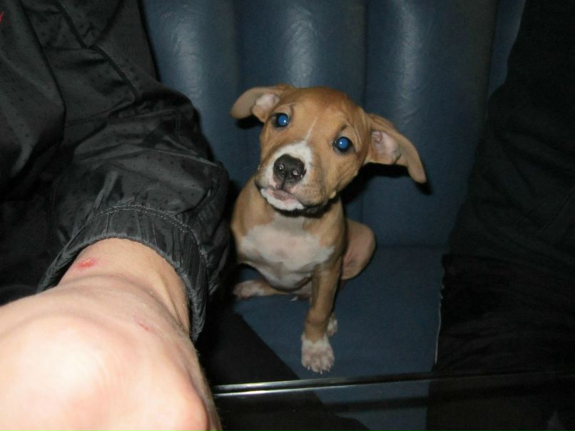 Сергей Марченко фотография #40