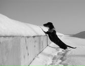 Фотография Ораловой Татьяны