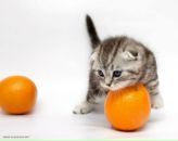 Фотография Секариной Татьяны