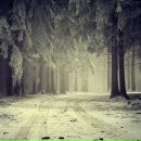 Фотография Шаповаловой Наташи