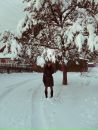 Фотография Егоровой Натальи