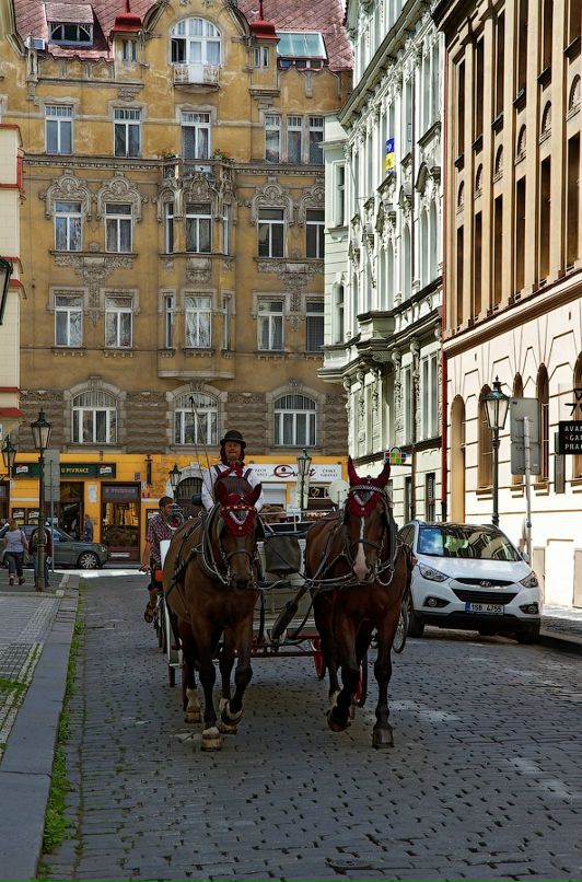 Игорь Иванов фотография #25