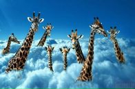 Фотография Лисоченко Кати