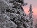 Галина Білоконь фотография #38 (источник - https://vk.com/id135539989)