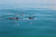 Ігор Дмитерко фотография #49 (источник - https://vk.com/id2264196)