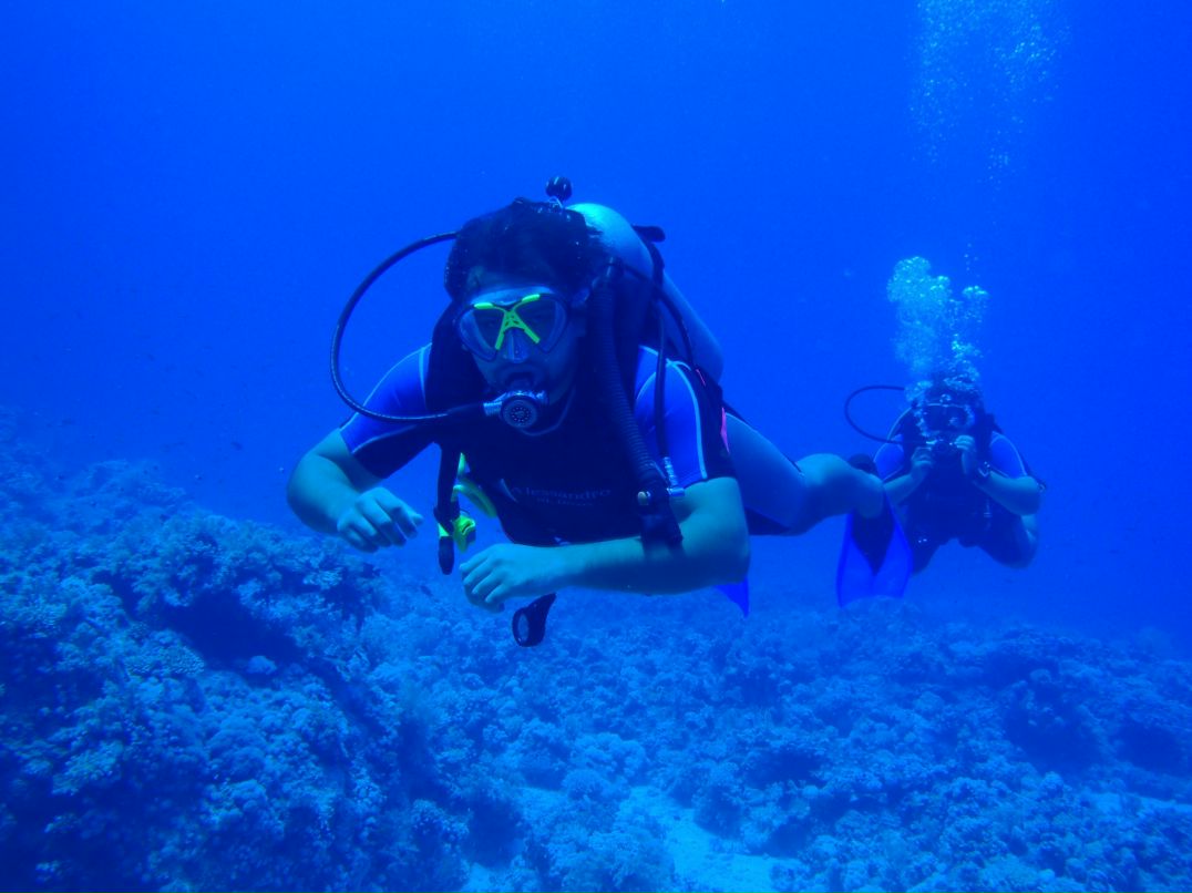 Vit Mi фотография #43