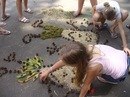 Стелла :) фотография #49 (источник - https://vk.com/id151744286)