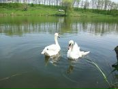 Юрій Циган фотография #34 (источник - https://vk.com/id18062436)