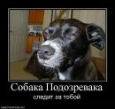 Фотография Kitty Hello