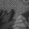 Дімоха Яремчук фотография #41 (источник - https://vk.com/id143889542)